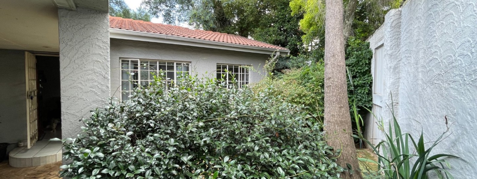 Hobson Street, Albemarle Ext 2, Gauteng, 3 Bedrooms Bedrooms, 0 ,3.5 BathroomsBathrooms,House,For Sale,Hobson Street,0,1589