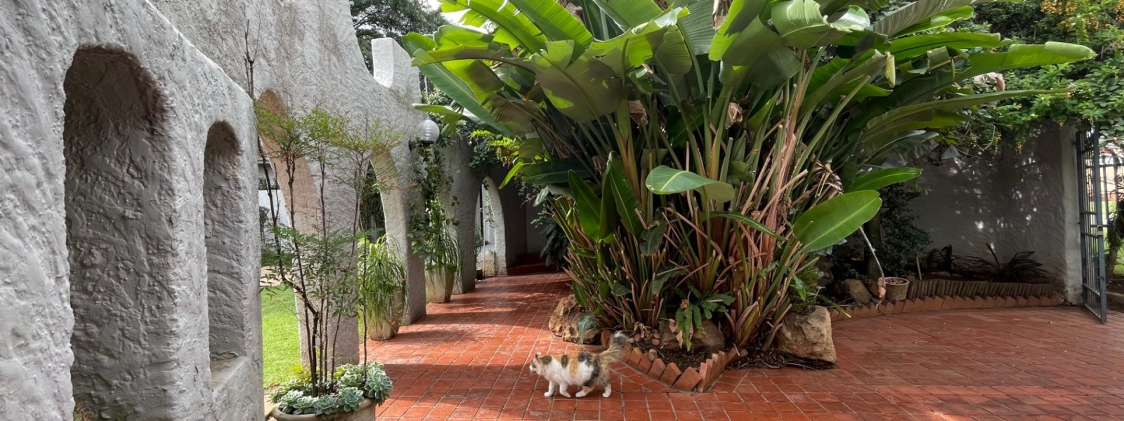 Hobson Street, Albemarle Ext 2, Gauteng, 3 Bedrooms Bedrooms, 0 ,3.5 BathroomsBathrooms,House,For Sale,Hobson Street,0,1589