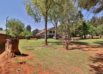 Dinsdale Street, Henley-On-Klip, Gauteng, 4 Bedrooms Bedrooms, 0 ,3.5 BathroomsBathrooms,House,For Sale,Dinsdale Street ,0,1601